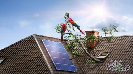 Painéis Solares (investimento zero)