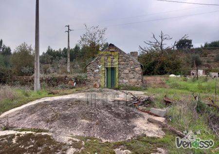 Quinta da Tapadinha com 7,080 m2 em Lagares da Beira