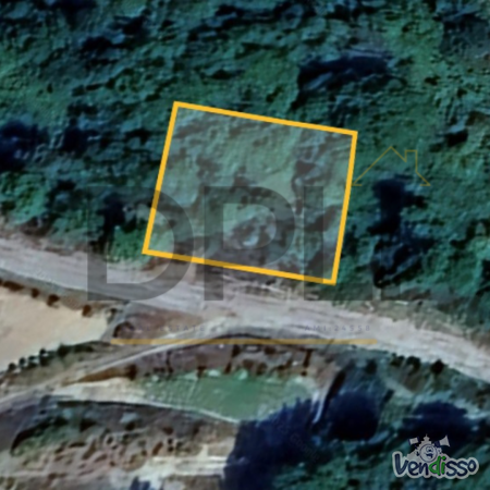 Terreno rústico com plantação de castanheiros  