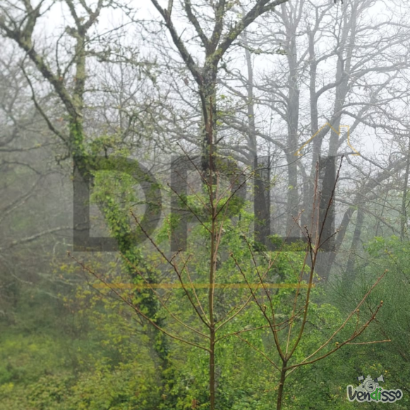 Post DPLI IMÓVEIS (1080 x 1080 px) (1080 x 1080 px) (87)