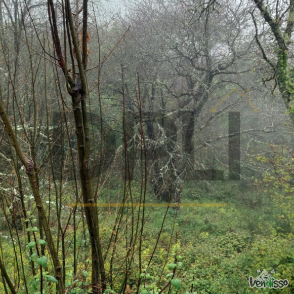 Post DPLI IMÓVEIS (1080 x 1080 px) (1080 x 1080 px) (88)