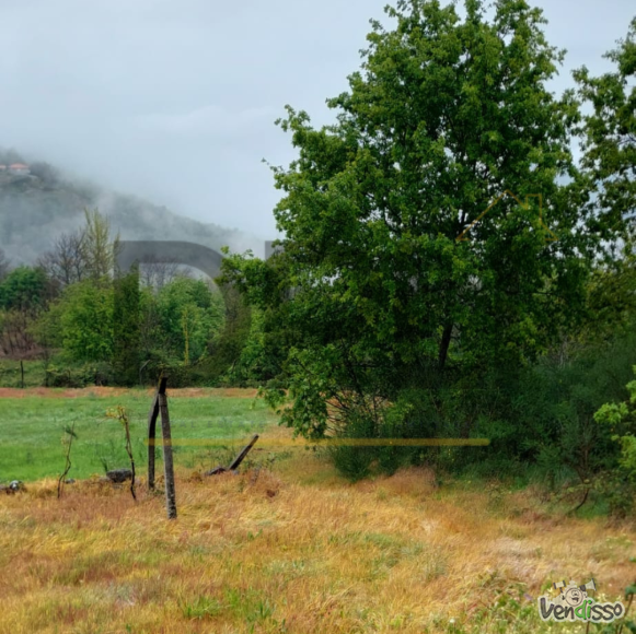 Post DPLI IMÓVEIS (1080 x 1080 px) (1080 x 1080 px) (100)