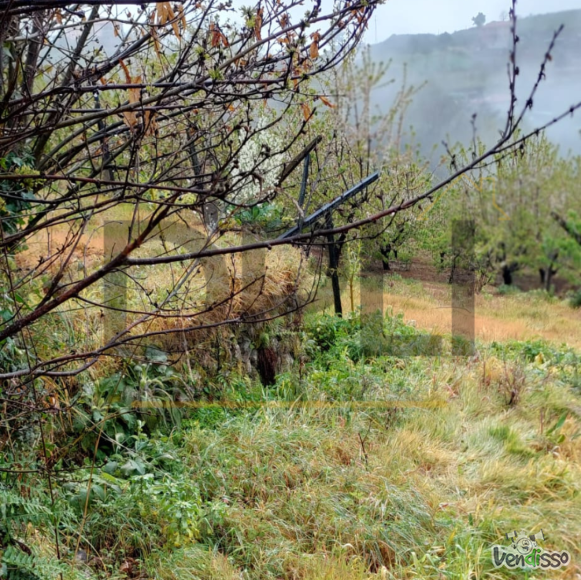 Post DPLI IMÓVEIS (1080 x 1080 px) (1080 x 1080 px) (91)