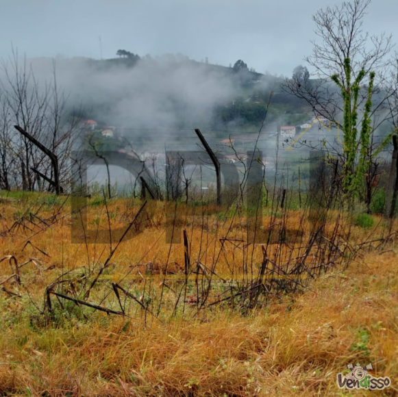 Post DPLI IMÓVEIS (1080 x 1080 px) (1080 x 1080 px) (92)