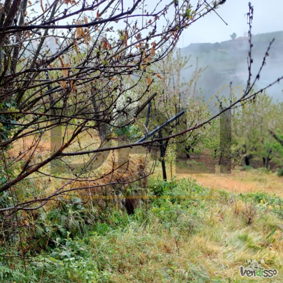 Post DPLI IMÓVEIS (1080 x 1080 px) (1080 x 1080 px) (96)