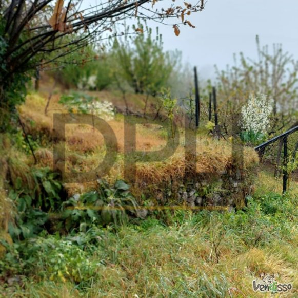 Post DPLI IMÓVEIS (1080 x 1080 px) (1080 x 1080 px) (98)