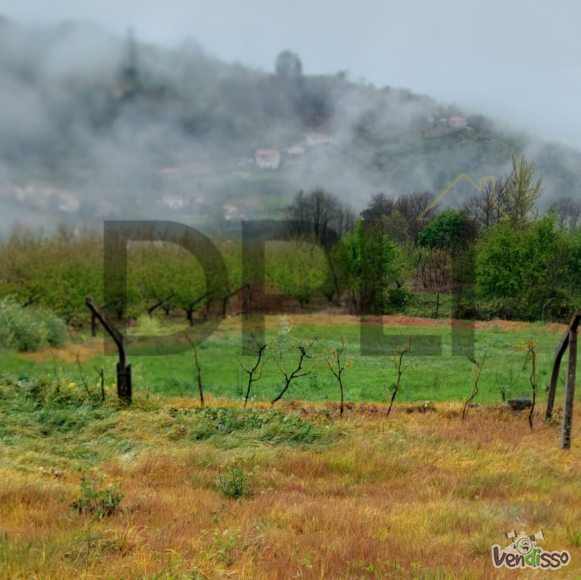 Post DPLI IMÓVEIS (1080 x 1080 px) (1080 x 1080 px) (99)