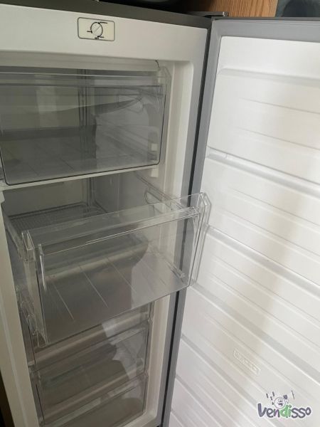 Arca congeladora vertical 