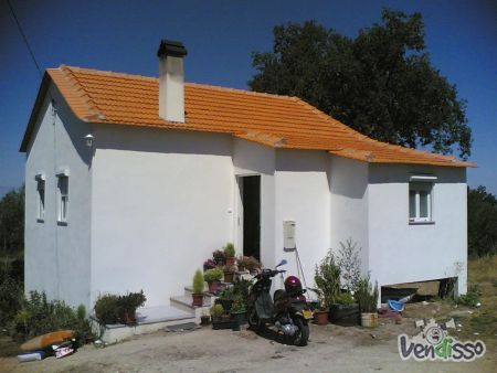 Quinta do Régio com 15,860 m2 e casa de habitação de 2 pisos