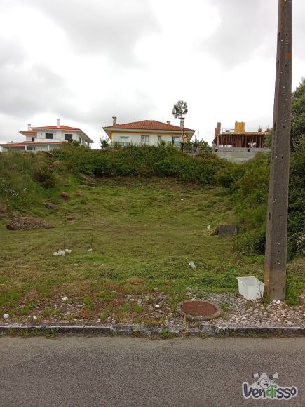 lote-138 c-1