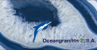 oceangranitos.lda@sapo.pt - avatar